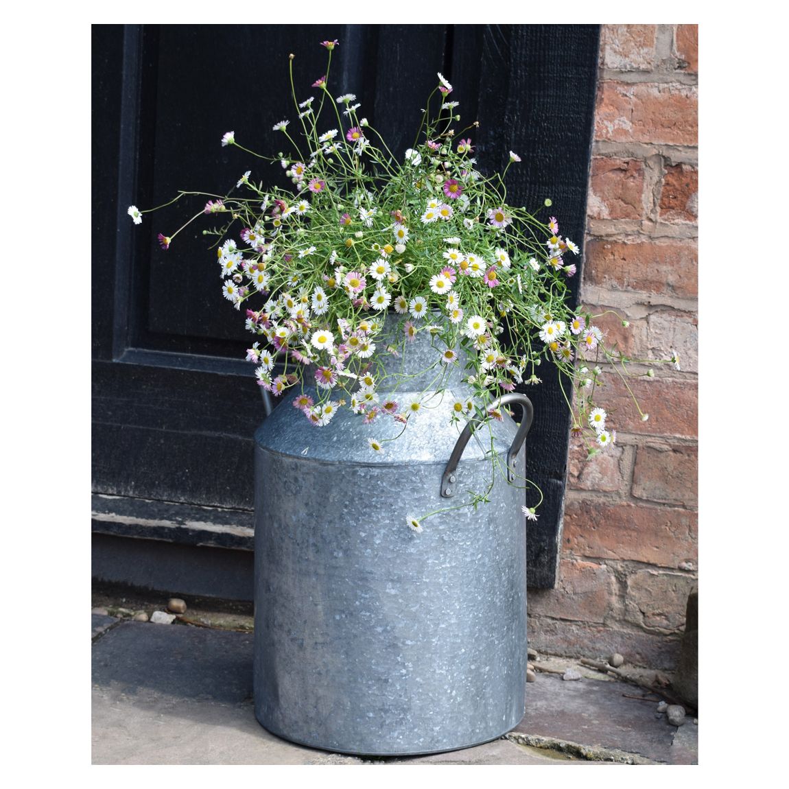 Galvanised Milk Churn H42cm main product photo