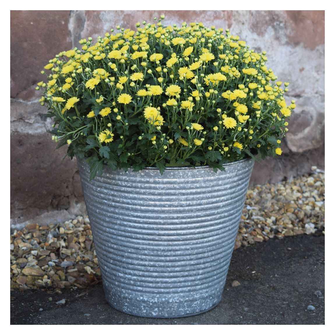 Ribbed Galvanised Planter D32Cm main product photo
