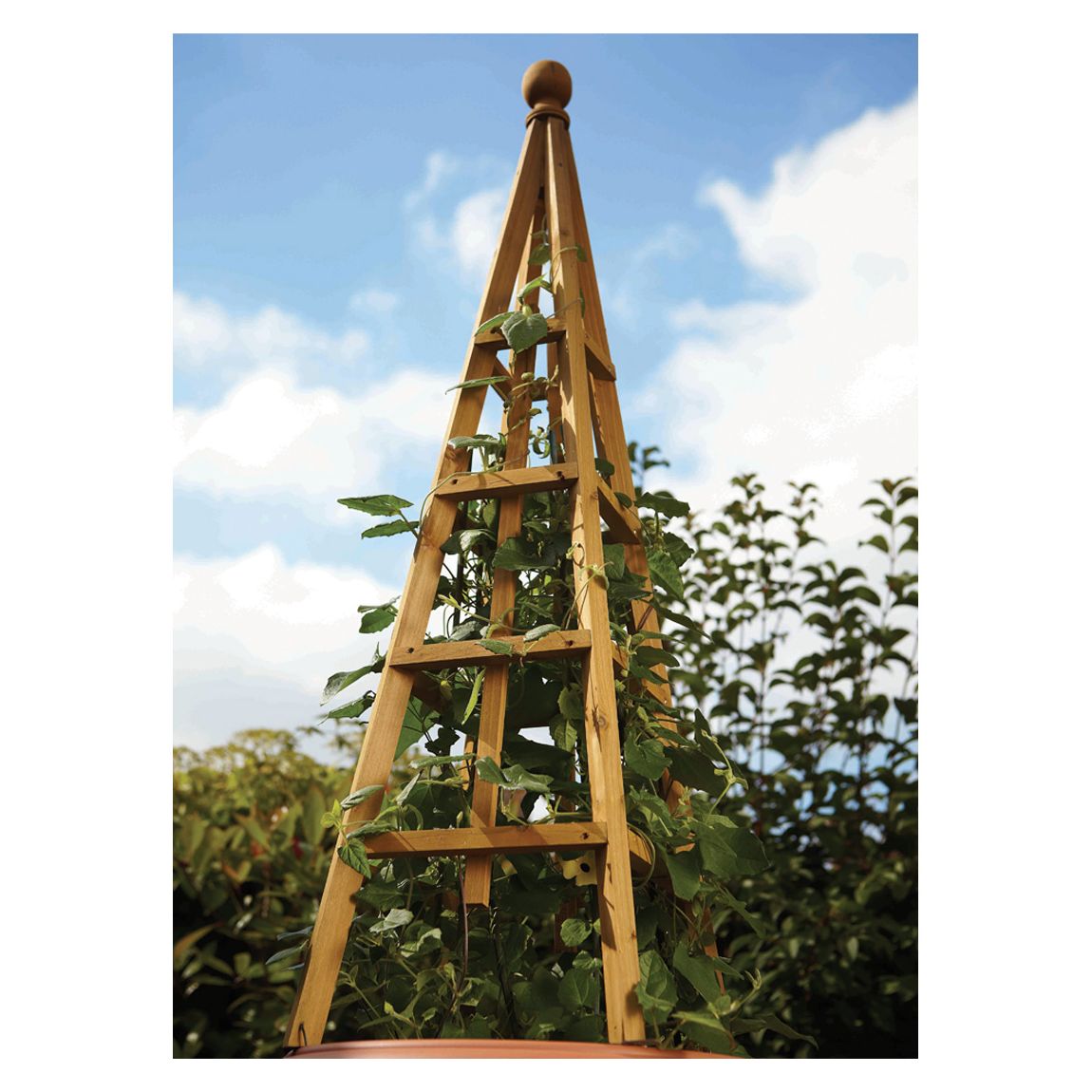 Woodland 1.9m Obelisk, Tan main product photo