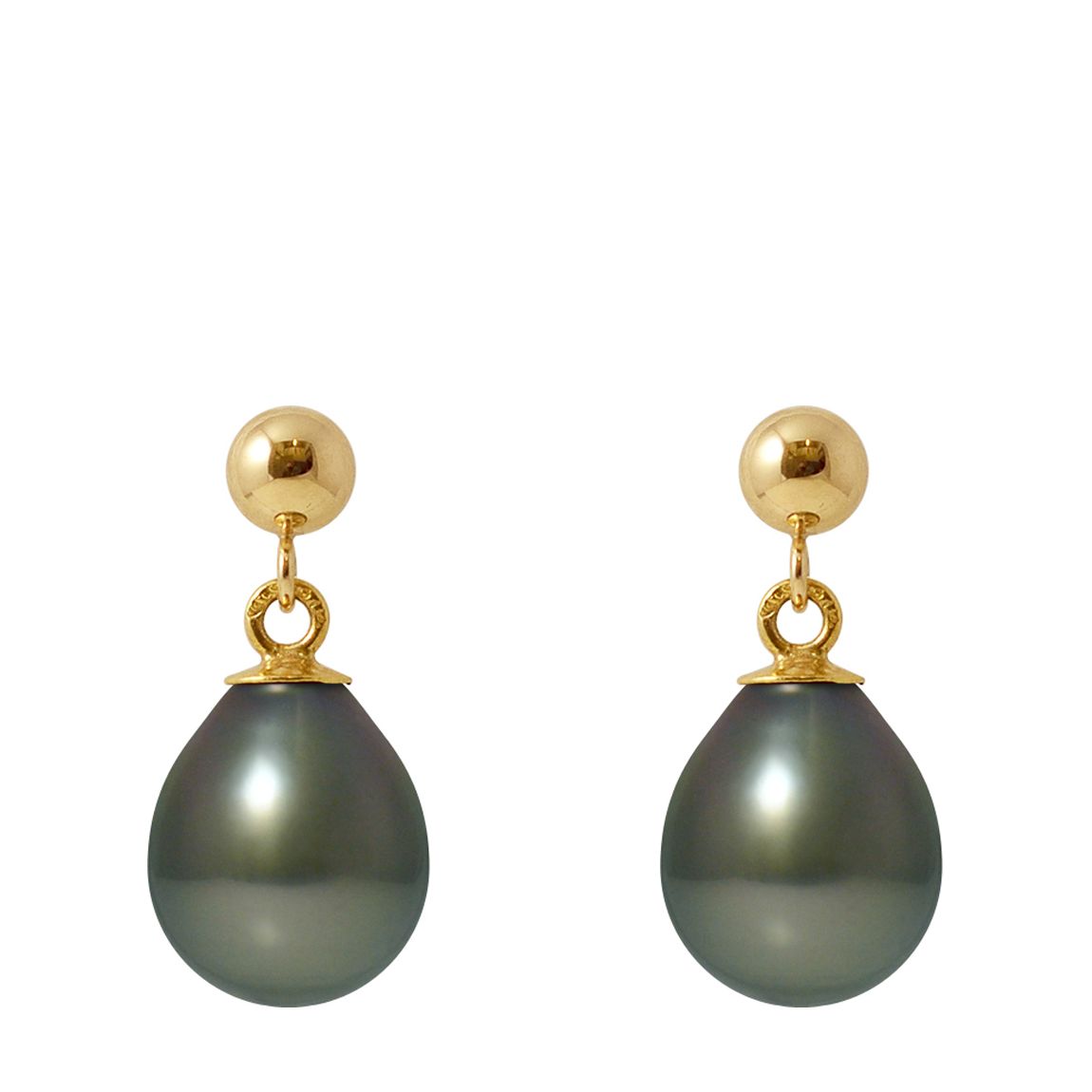 Yellow Gold Tahitian Style Pearl Earrings main product photo