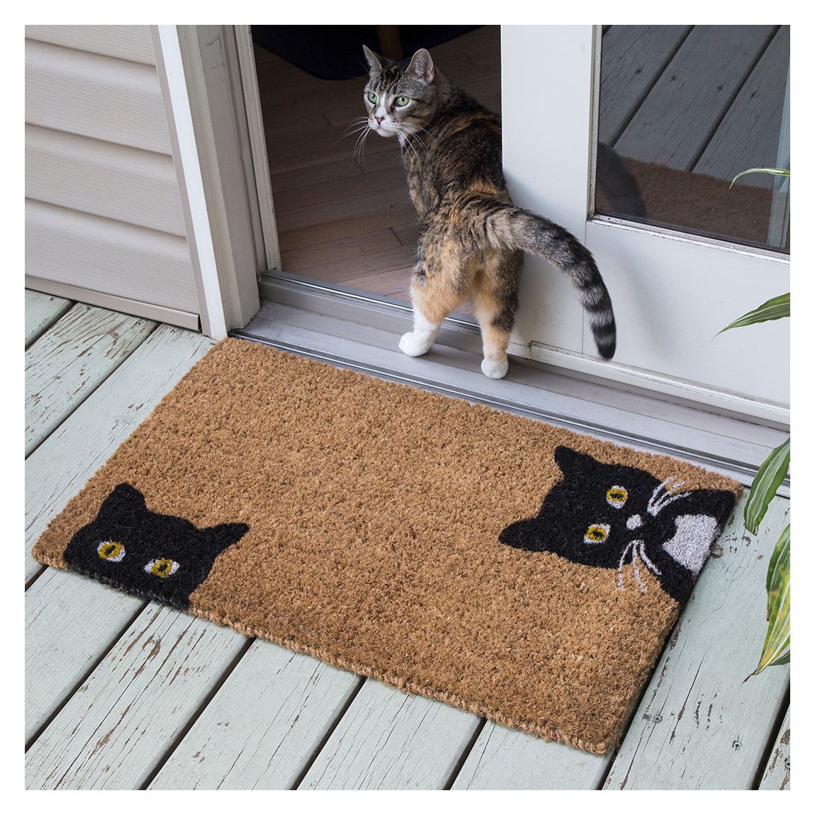 Peeping Cats Coir Doormat main product photo