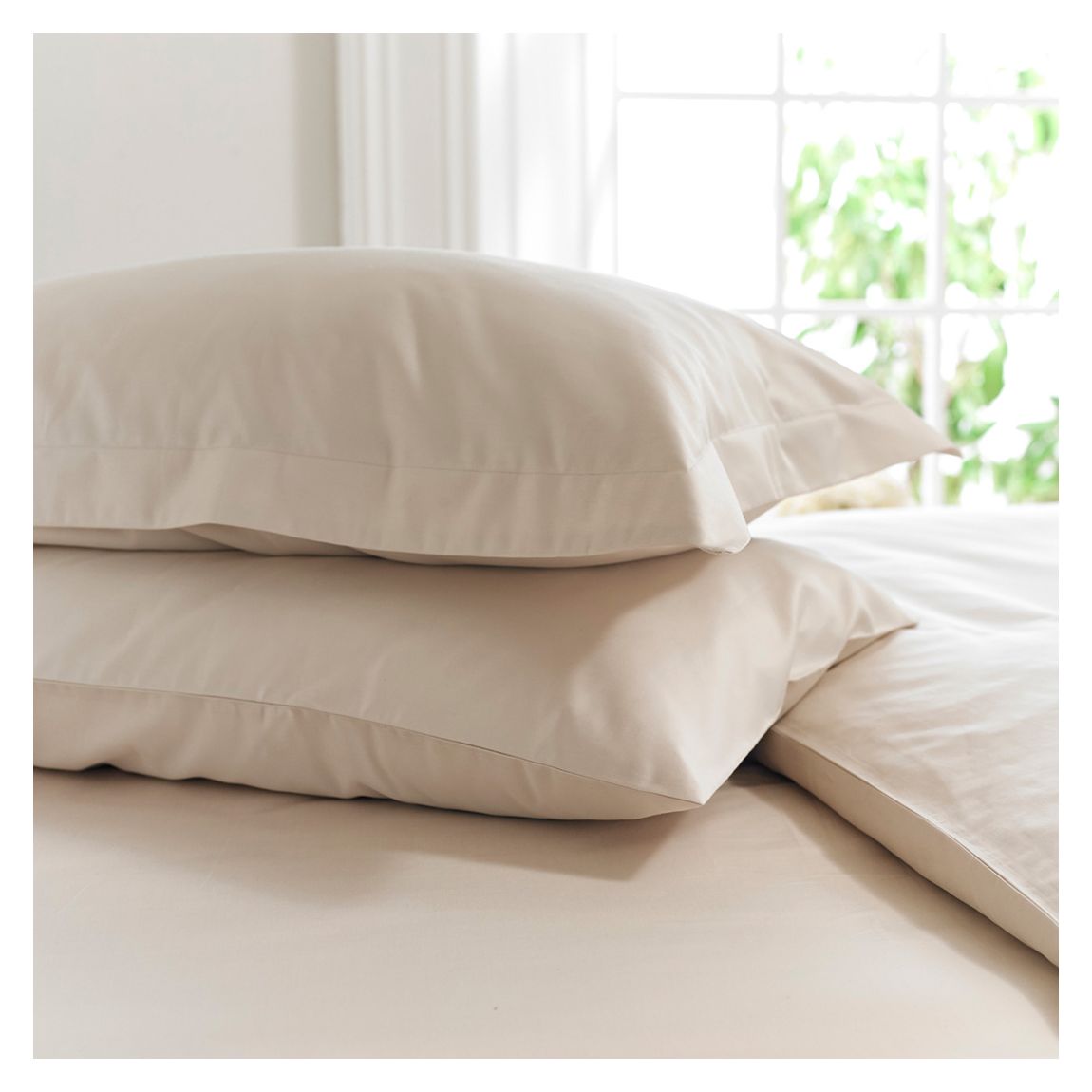 800TC Oxford Pillowcase, Prosecco main product photo