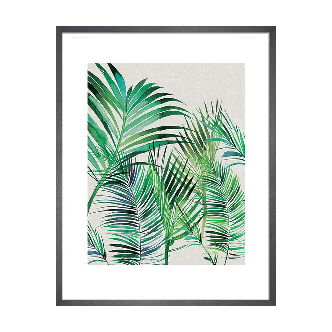 Palm Leaves 40x50cm Framed Print main product photo