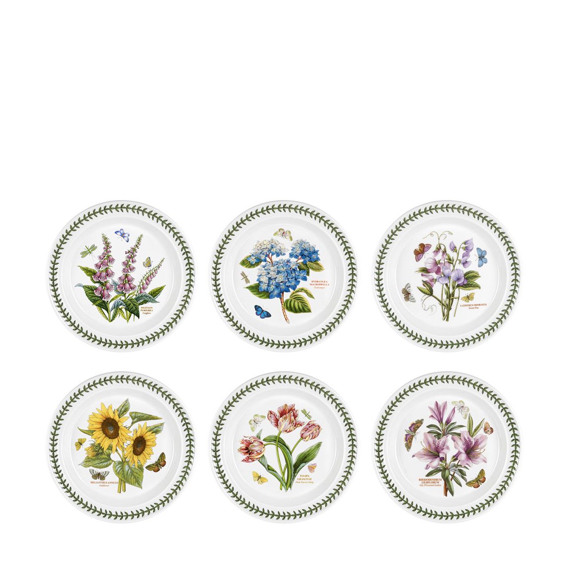 Set of 6 Botanic Garden Plates main product photo