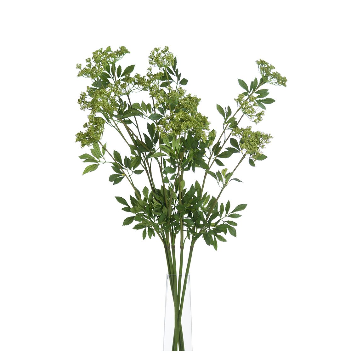 Faux Cow Parsley Ammi main product photo