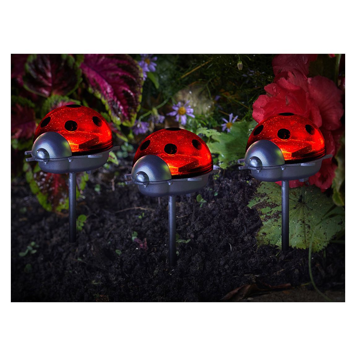 Set of 6 Ladybird Solar Stake Lights main product photo