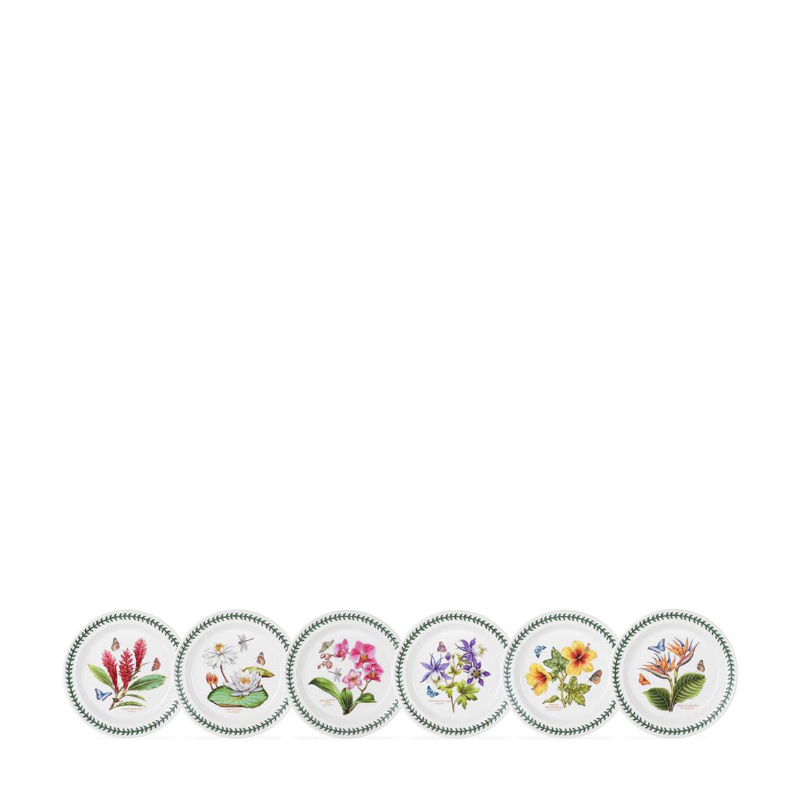 Set of 6 Exotic Botanic Garden Plates, 21.5cm main product photo