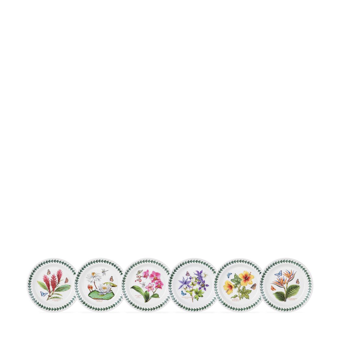 Set of 6 Exotic Botanic Garden Plates, 18.5cm main product photo