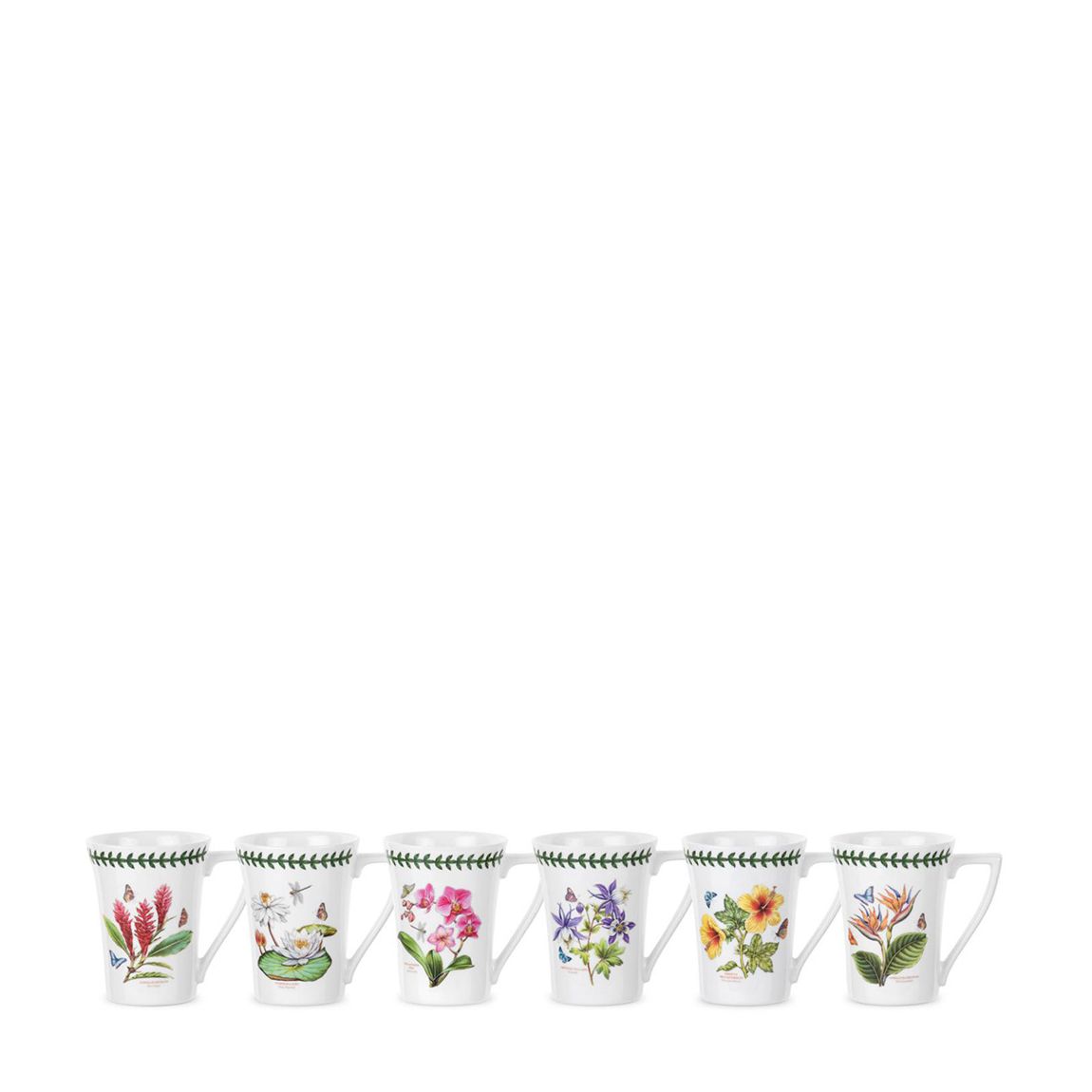 Set of 6 Exotic Botanic Garden Mugs main product photo
