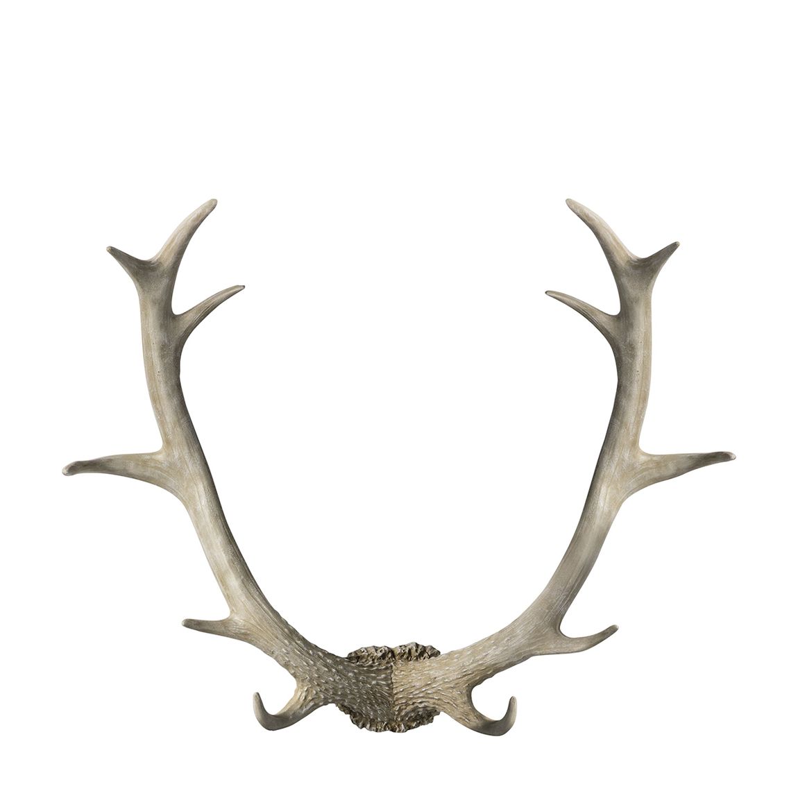 Bjorn Antler Wall Art, White main product photo