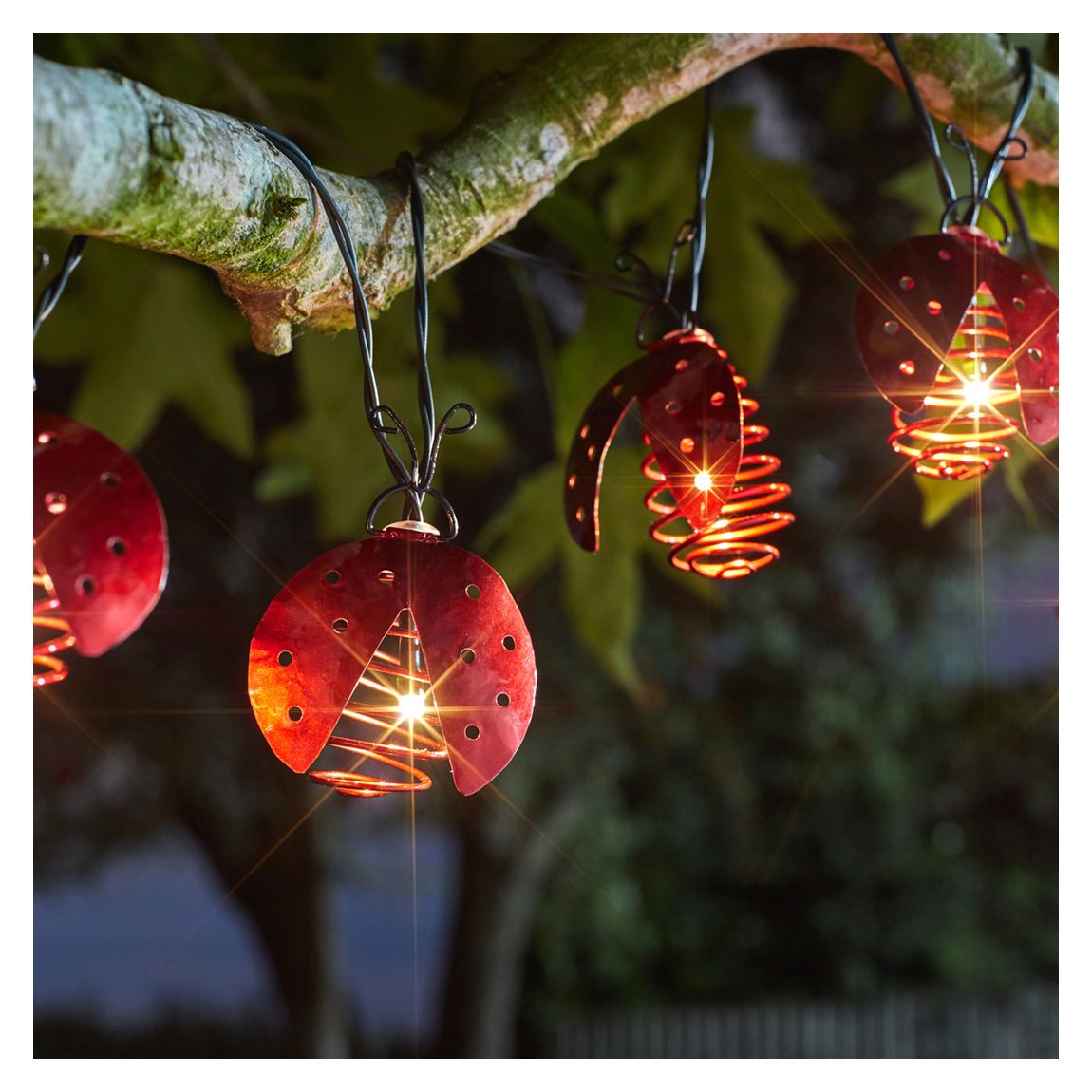 Set of 10 Solar Ladybird Lights main product photo