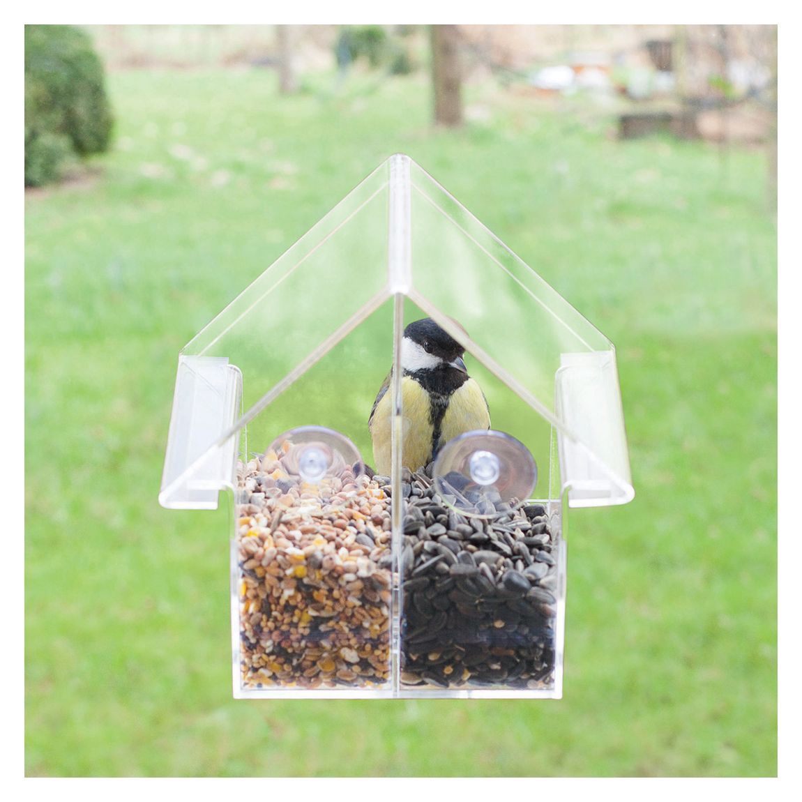 Acrylic Combi Window Feeder main product photo