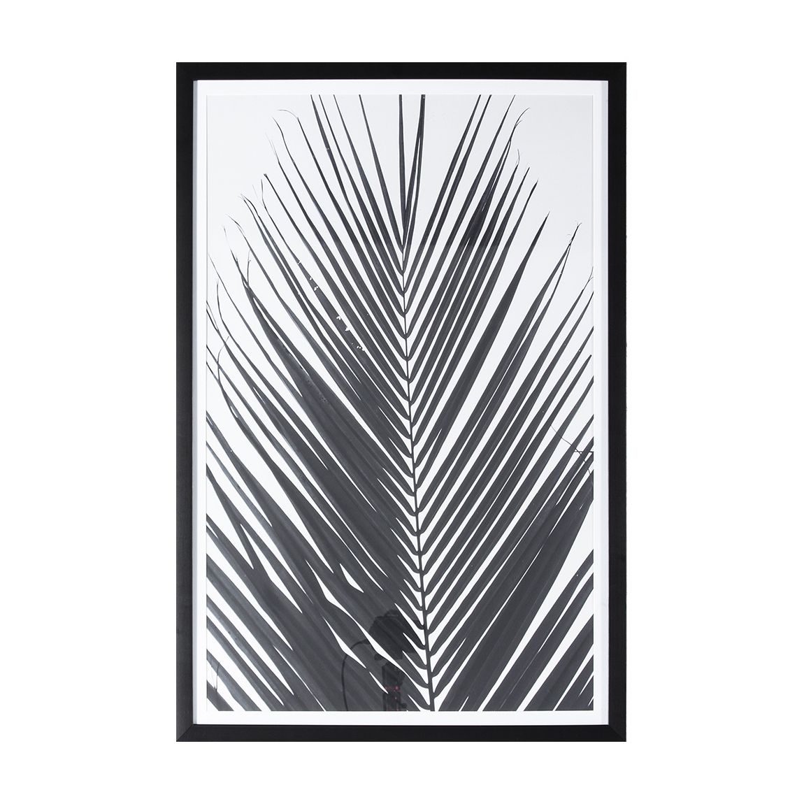 Monochrome Palm 91x61cm Framed Art main product photo