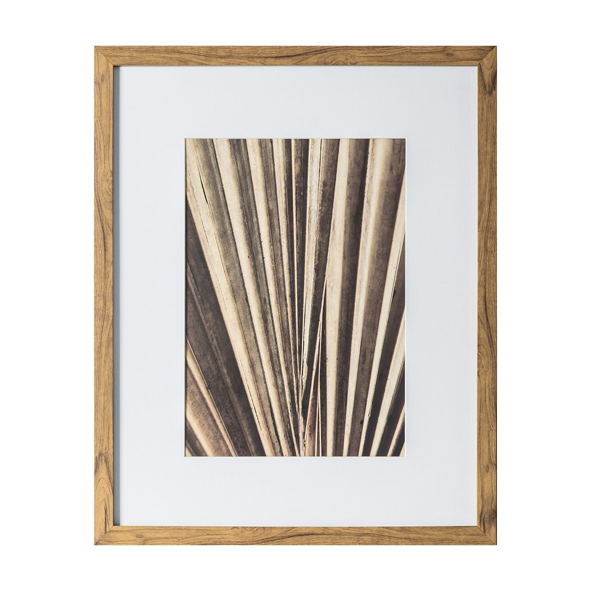 Sabal 50x40cm Framed Art main product photo