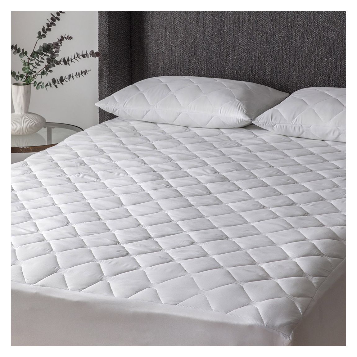 SS Anti Allergy Mattress Protector Single main product photo