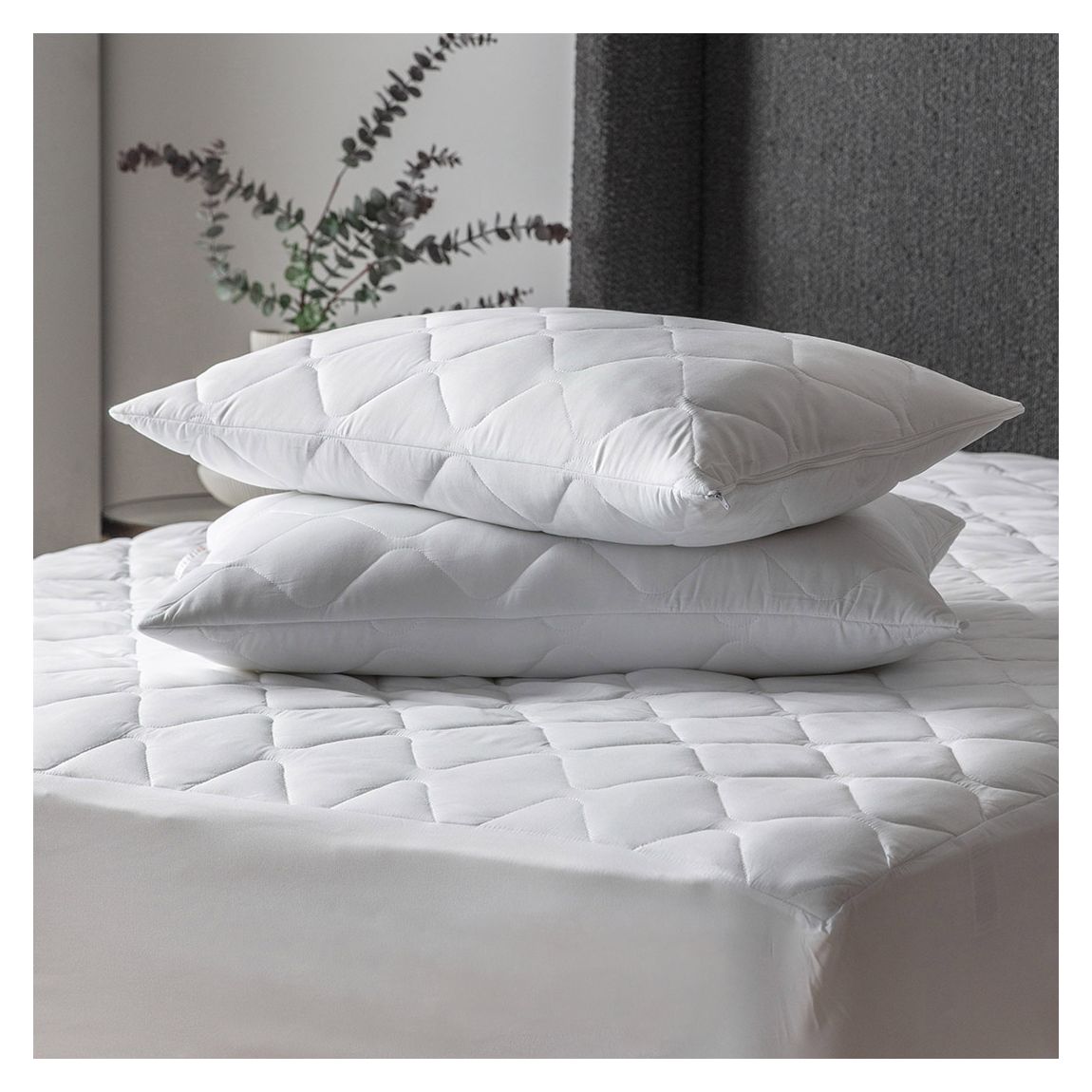 SS Anti Allergy Pillow Protector Pair main product photo