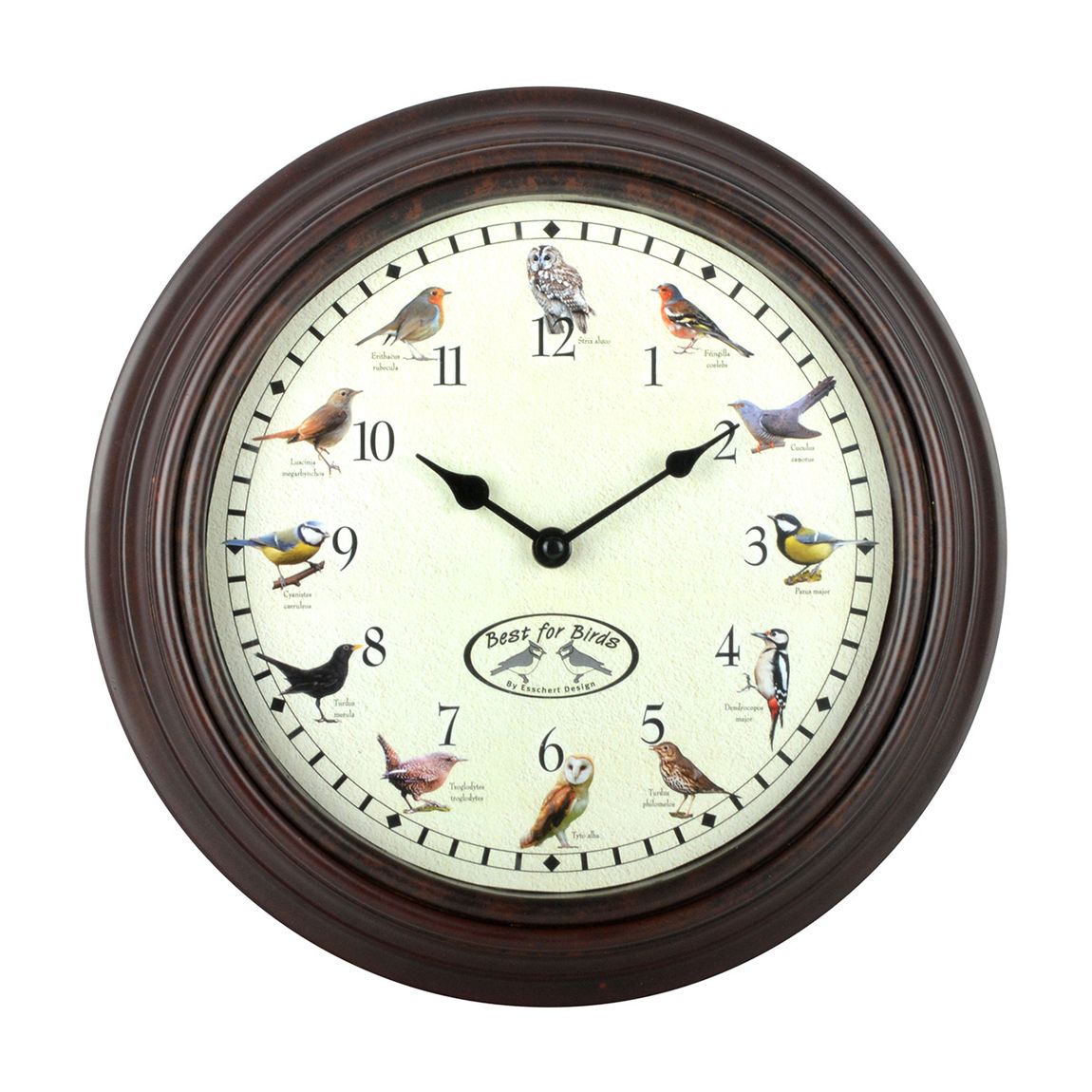 Bird Song Clock main product photo