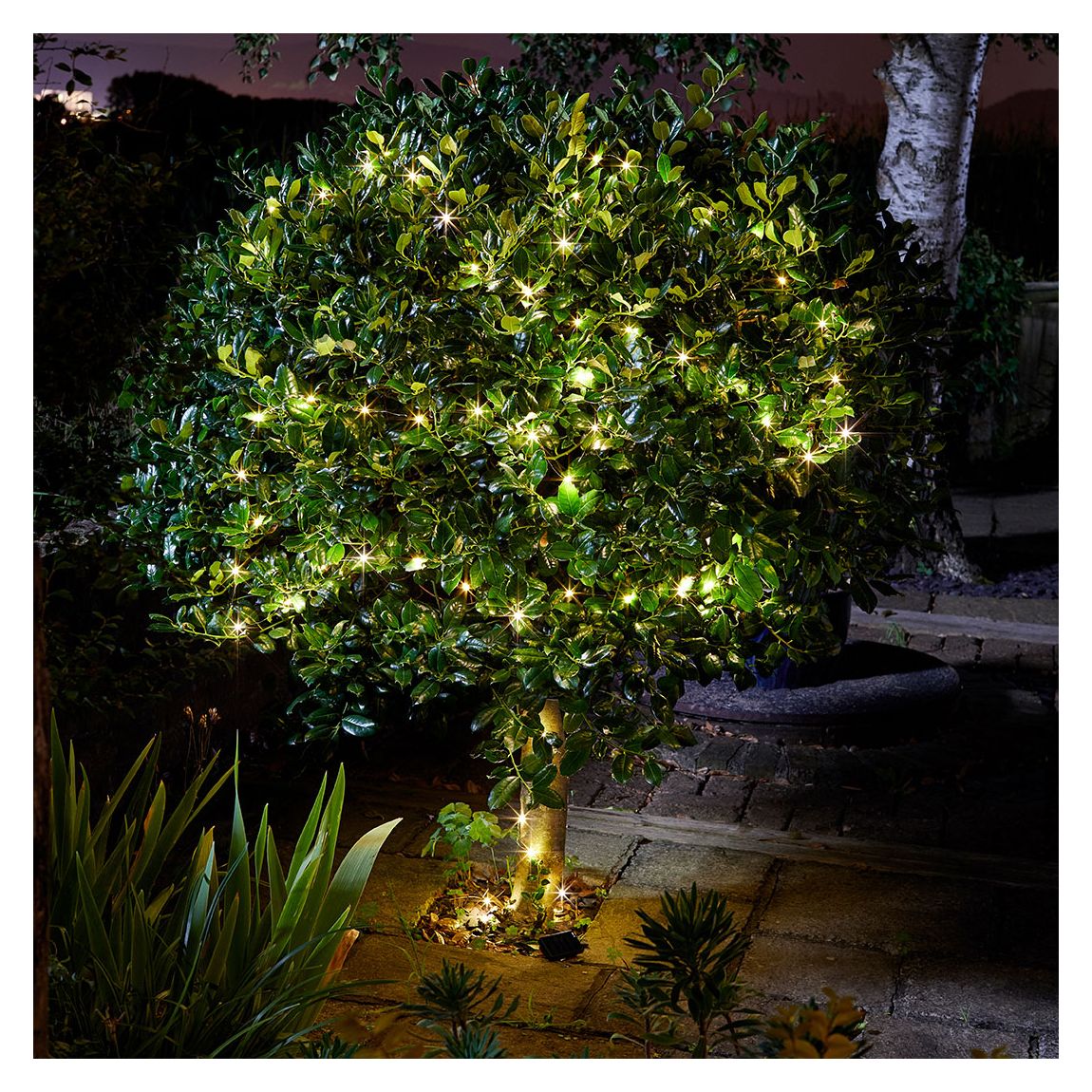 Firefly Solar tring Lights 200 Warm White LEDs main product photo