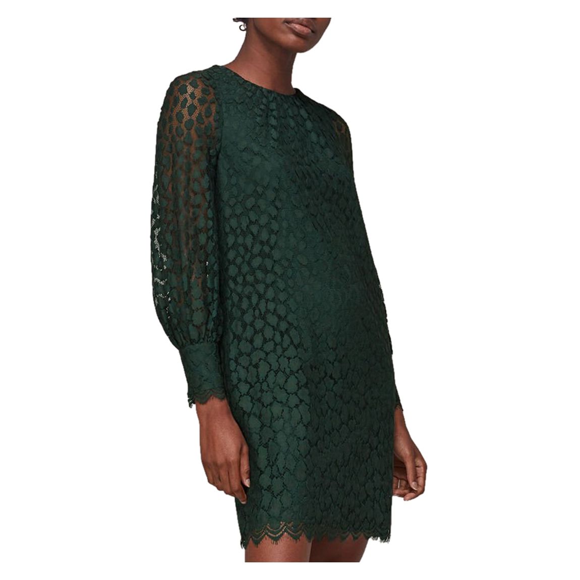 Dark Green Animal Lace Tie Detail Dress main product photo