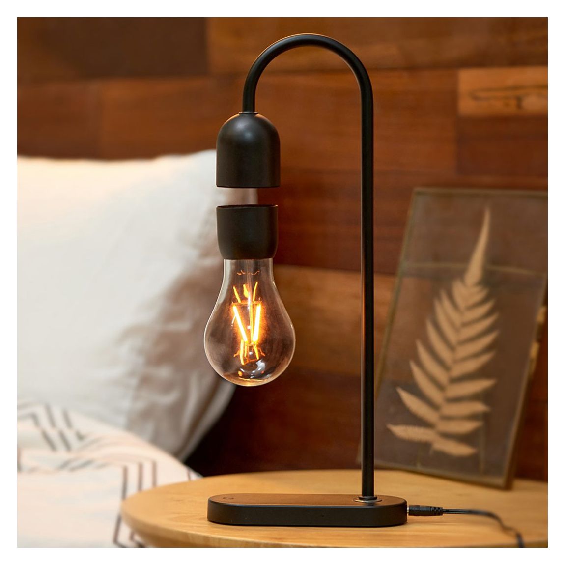 Evaro LightBulb Lamp main product photo