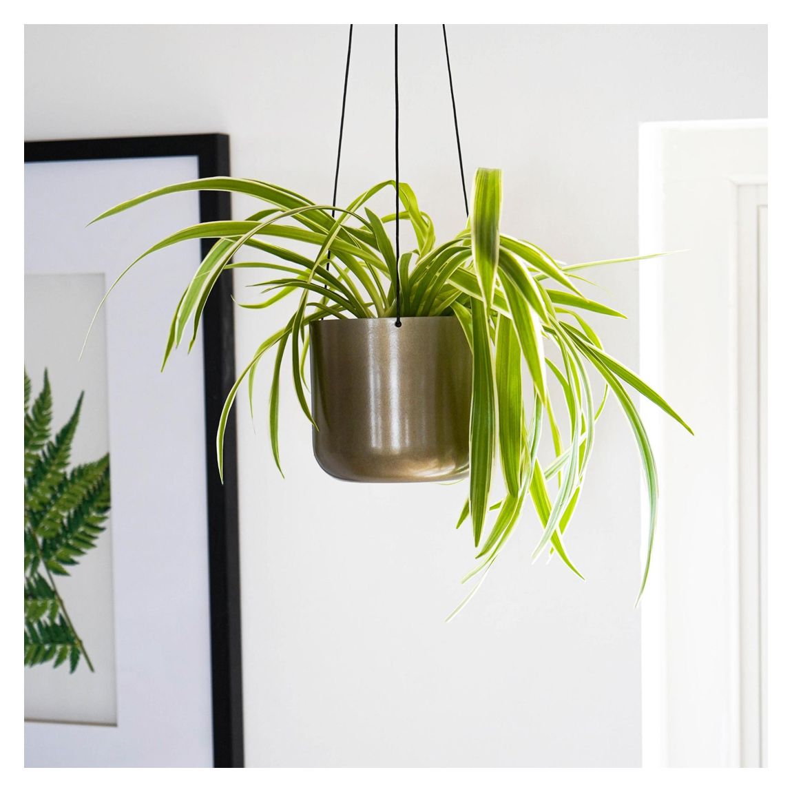 Kew Matt Brass Hanging Planter Large with Hook, 17cm main product photo