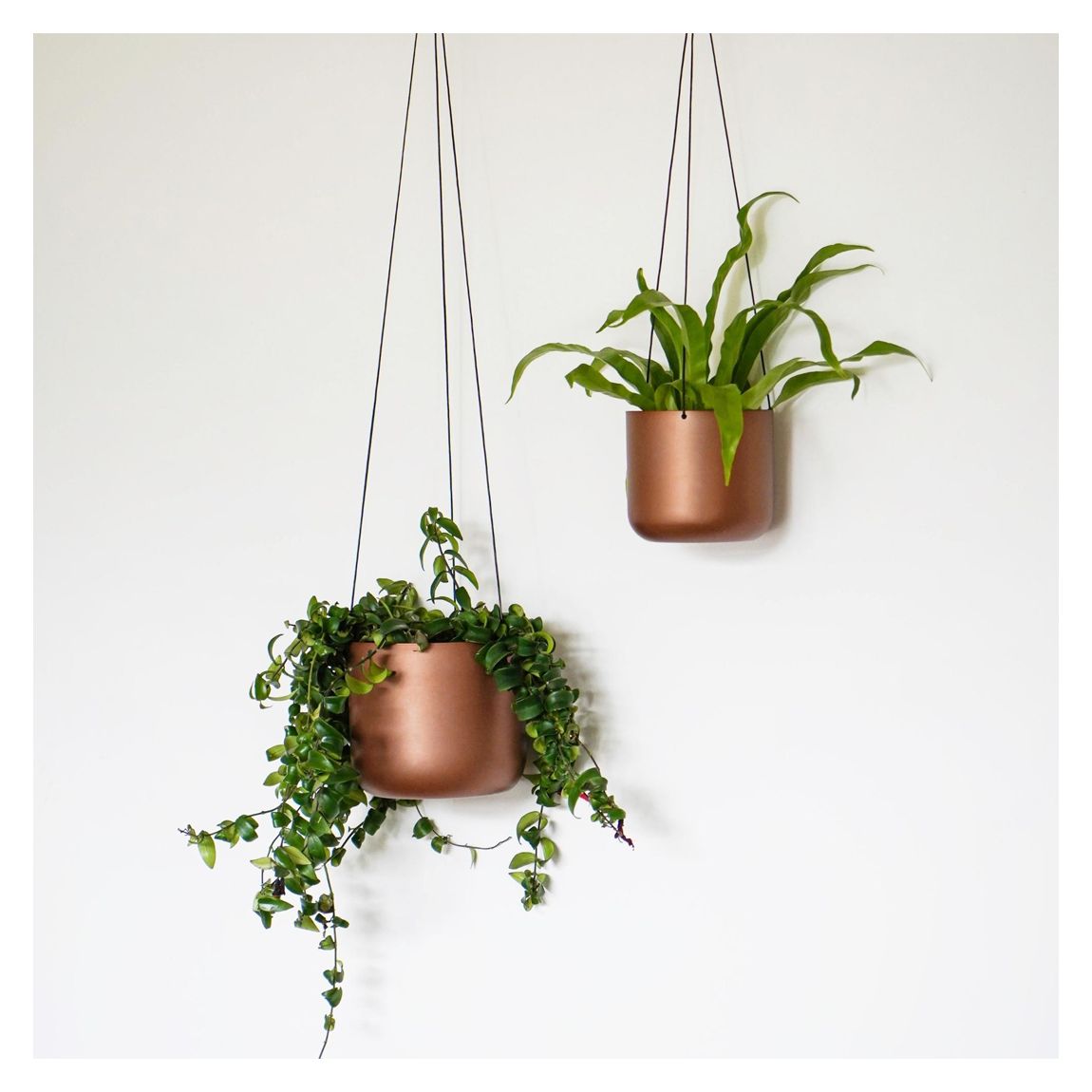 Kew Matt Copper Hanging Planter Large with Hook, 17cm main product photo
