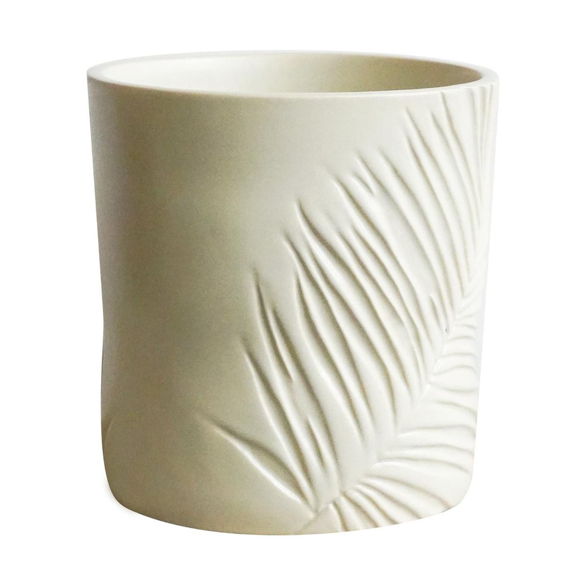 Kew Stoneware Sago Palm Planter Ivory, 18cm main product photo