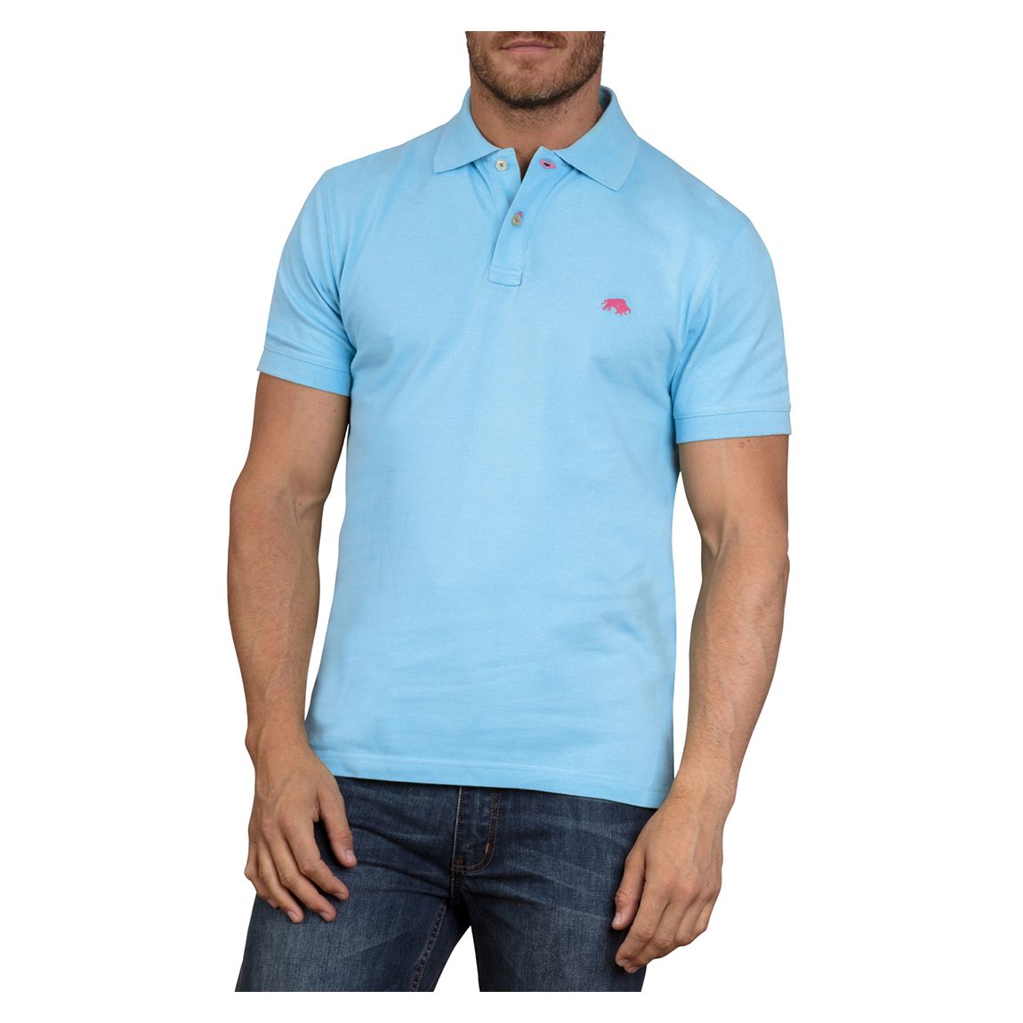 Sky Blue Signature Cotton Polo Shirt main product photo