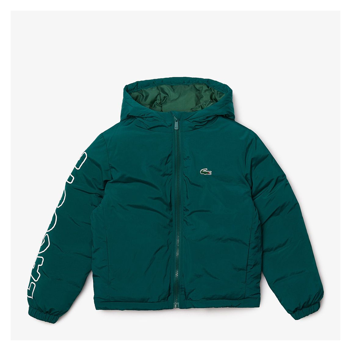 Kid Boy's Green Branded Hooded Jacket main product photo
