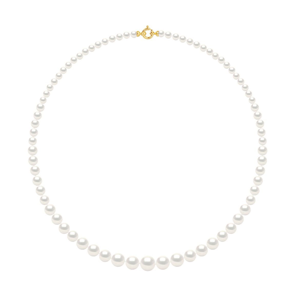 Yellow Gold/Natural White Row Of Real Freshwater Pearl Necklace main product photo
