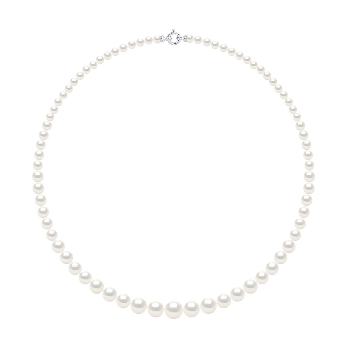 White Gold/Natural White Row Of Real Freshwater Pearl Necklace main product photo