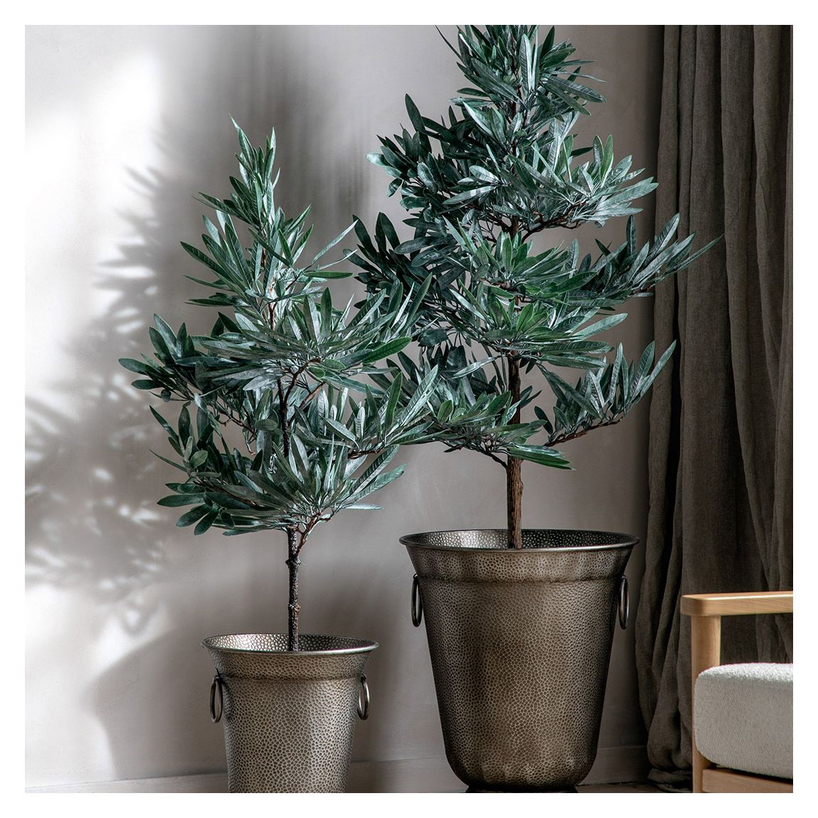 Eucalyptus Tree Dusky, Green main product photo