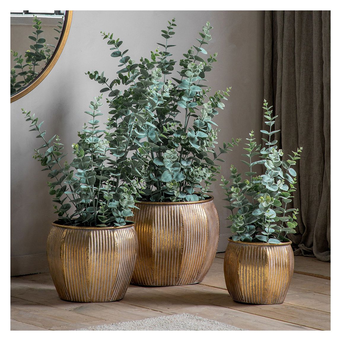 Potted Eucalyptus Bush Green H680mm main product photo