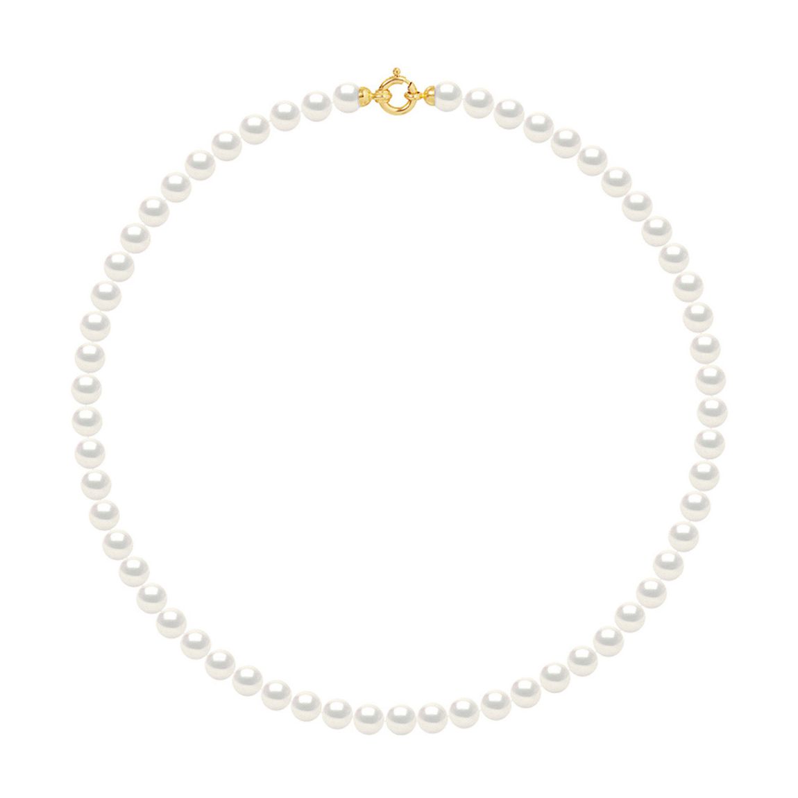 White Freshwater Pearl Row Bracelet main product photo