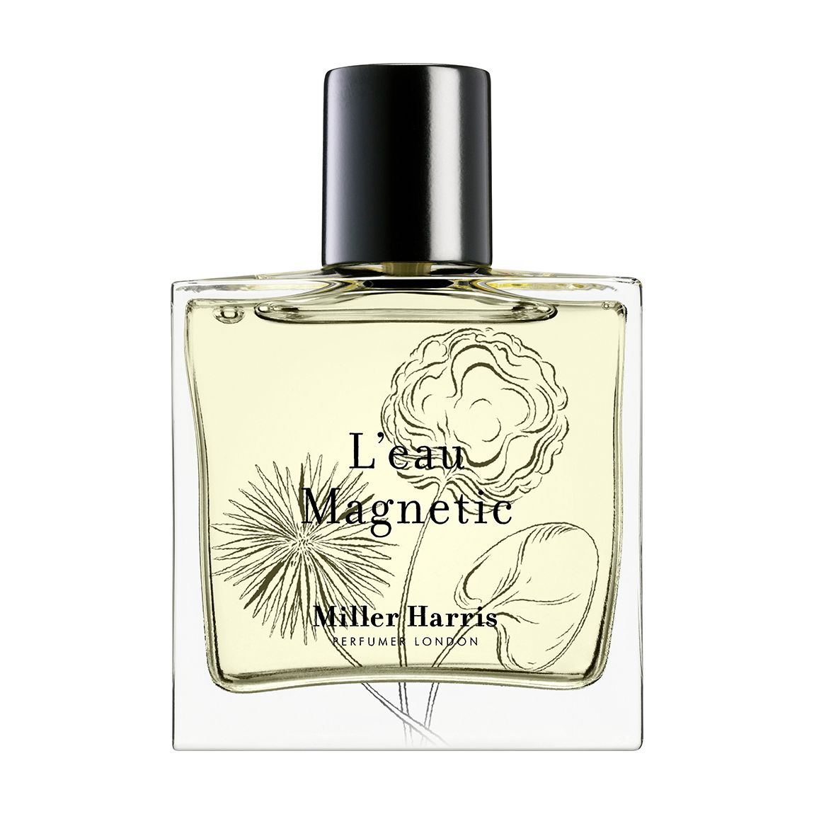 L'Eau Magnetic EDP 50ml main product photo