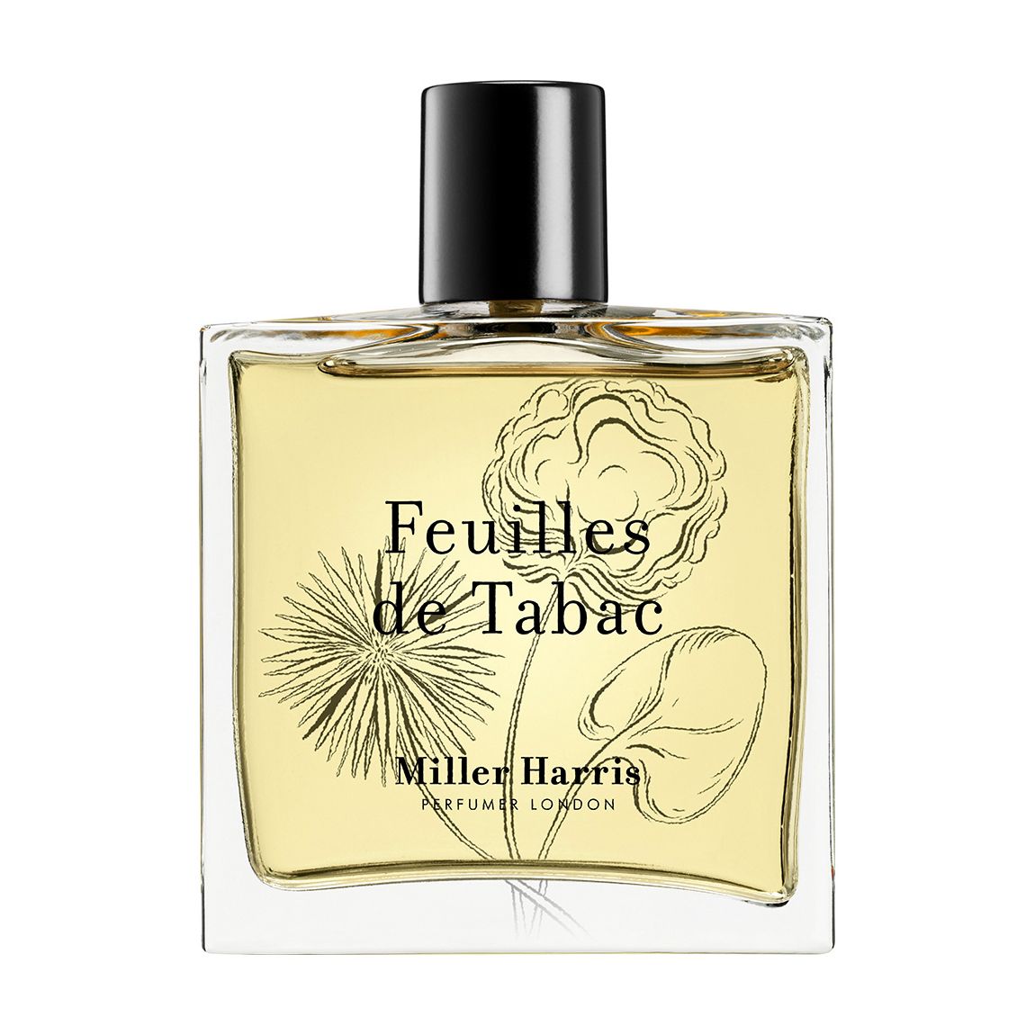 Feuilles de Tabac EDP 100ml main product photo