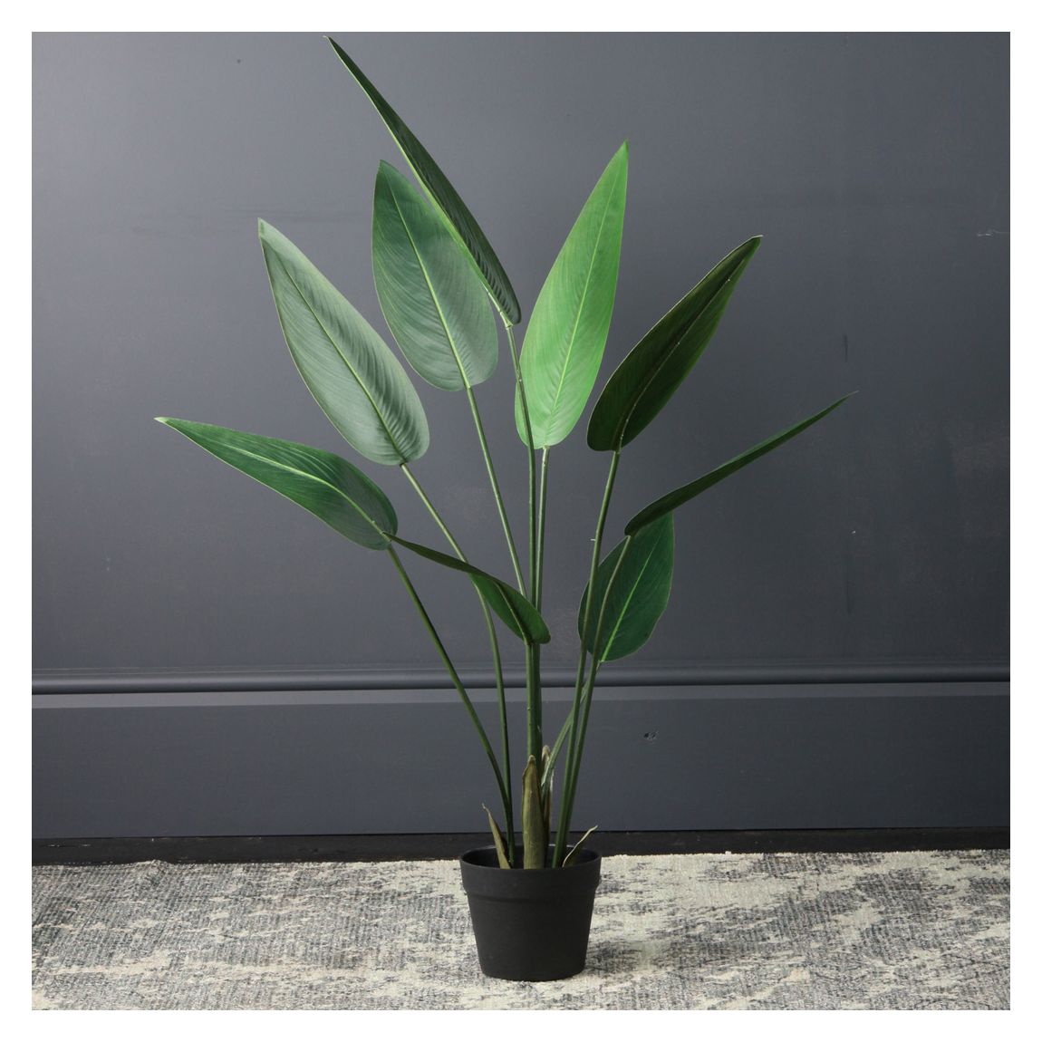 Bird Of Paradise Tree, 110cm main product photo