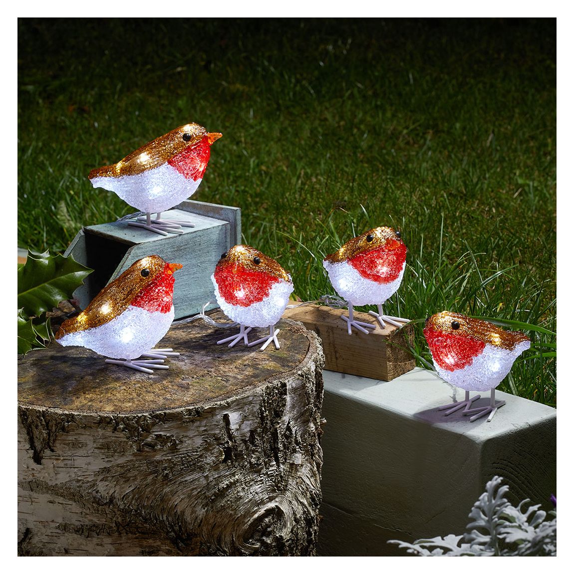 Set of 5 In Lit Ice Robins main product photo