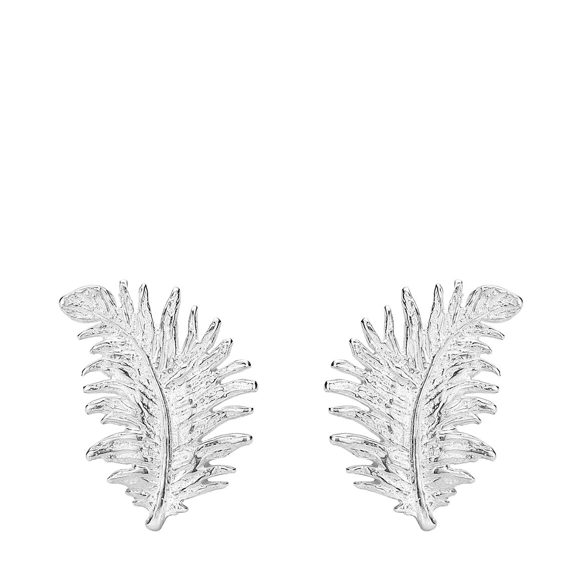 Sterling Silver Large Feather Studs main product photo