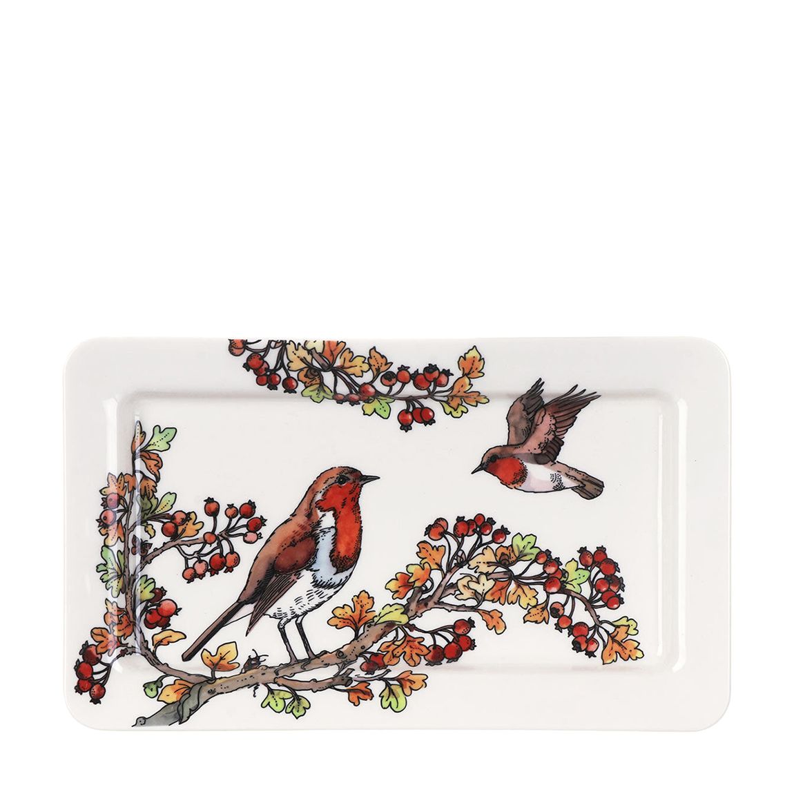 Birds In The Hedgerow Rosehip & Robin Medium Oblong Plate main product photo