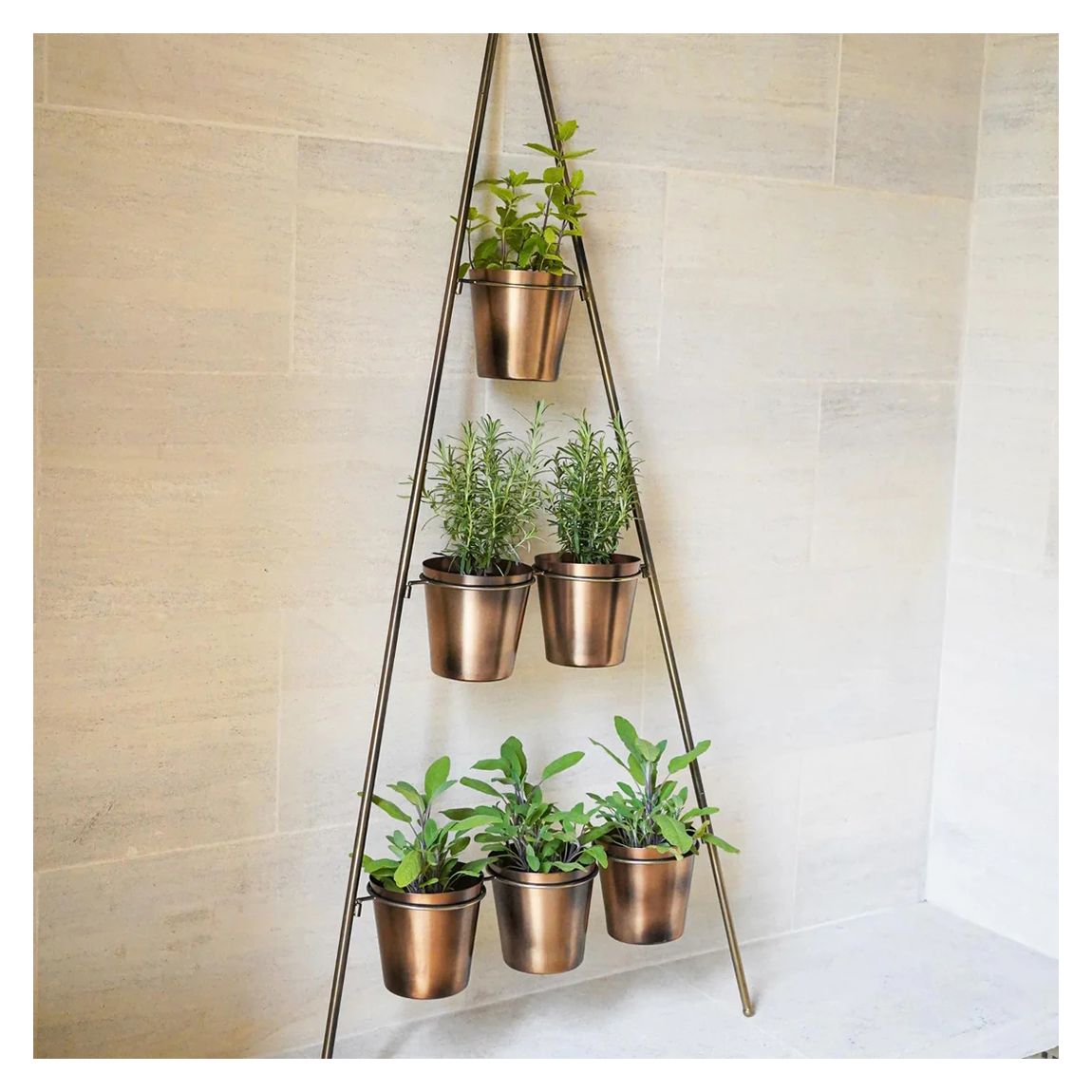 Outdoor Vertical Gold Metal Wall Plant Stand with Planters H128Cm W51Cm Planter Size Ext Diam 9Cm main product photo
