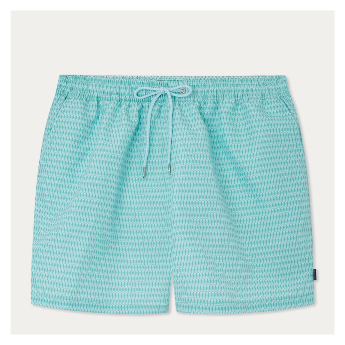 Aqua Blue Fish Print Swim Shorts main product photo
