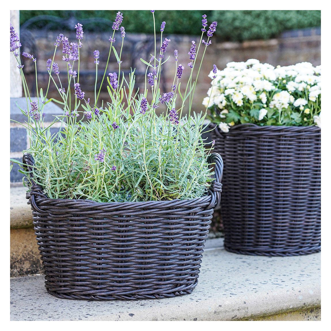 Polyrattan Lined Basket Willow, 24 x 33 main product photo