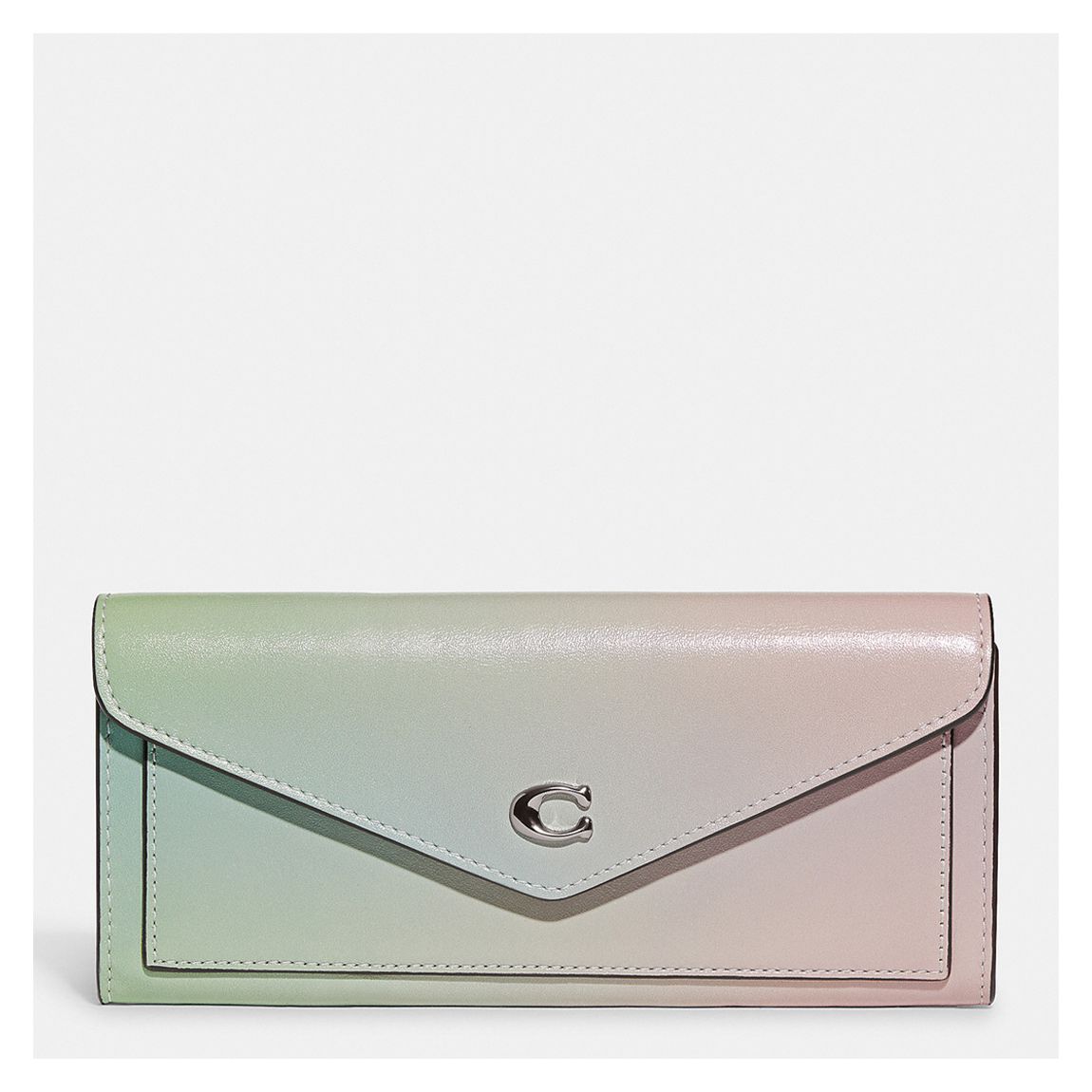 Pale Pistachio Multi Ombre Leather Wyn Soft Wallet main product photo