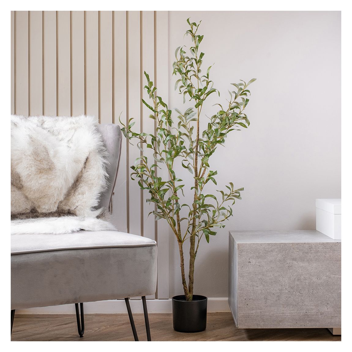 Slim Silhouette Olive Tree, 130cm main product photo