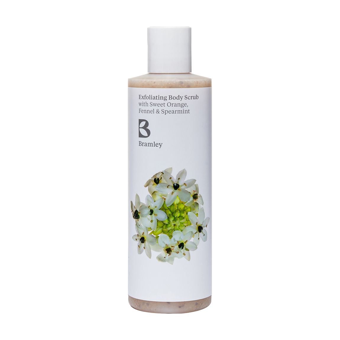 Exfoliating Body Scrub 250ml main product photo