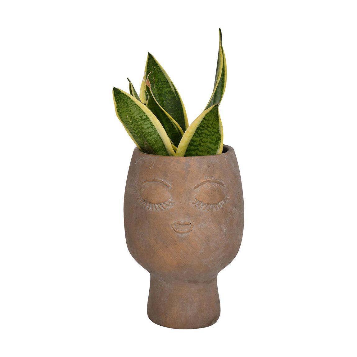 Ava Face Concrete Planter Large 25cm main product photo