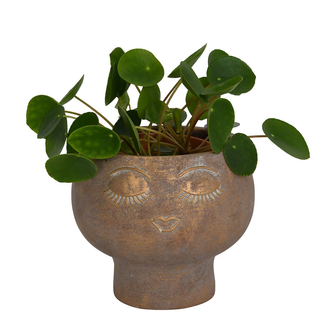Ava Face Concrete Planter, Small main product photo