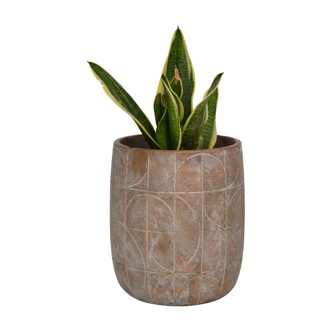 Geometric Circles Pattern Gold Concrete Planter, Large main product photo