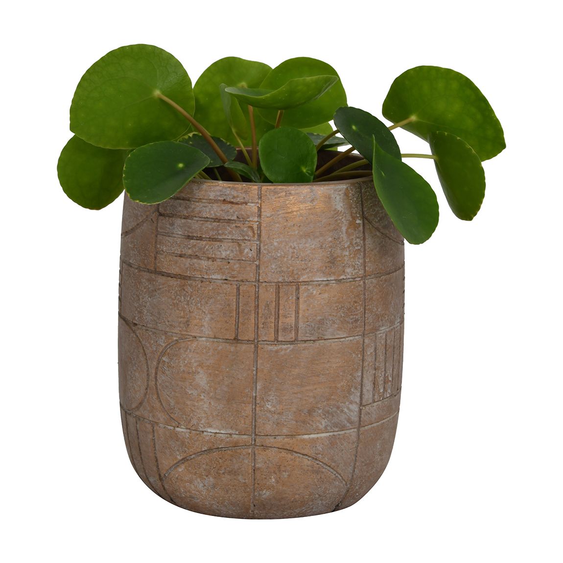 Geometric Circles Pattern Gold Concrete Planter, Small main product photo